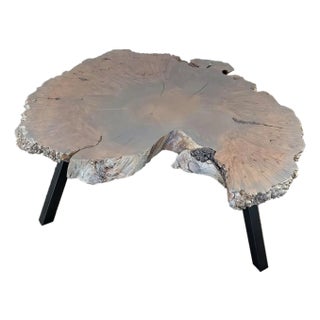 Lake Shore Mappa Burl Live Edge Cocktail Table For Sale