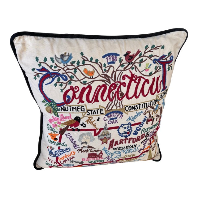Cat Studio Connecticut State Embroidered Pillow For Sale