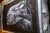 Brand: Unknown (Tag is attached, unable to determine). Soft Fleece. Size: 53"×73" Condition: Excellent used condition, no...
