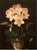 Bouquet of Flowers, 19th Century, Oil Painting on Panel, Framed For Sale - Image 3 of 10