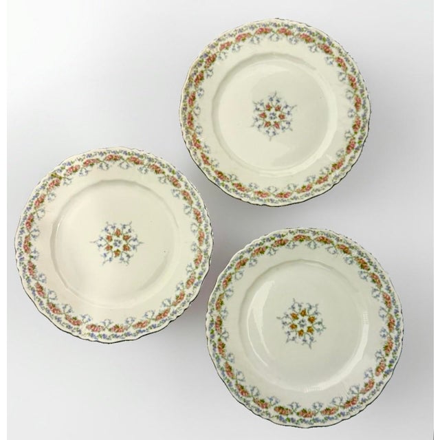 Early 20th Century Antique Haviland Limoges Luncheon Plates - Schleiger Patterns - Set of 6 For Sale - Image 5 of 12