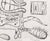 Abstract Carroll Dunham Abstraction Lithograph, 1994 For Sale - Image 3 of 10