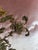 Early 21st Century Pair of French Couture Blush Silk Velvet Pillows With 19th Century Appliques' For Sale - Image 5 of 12