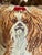 Here is a charming needlepoint pillow featuring a Shih Tzu dog with red bow in her hair. The dog has brown and white fur....