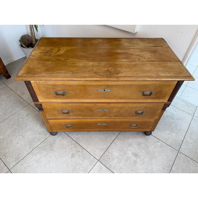 Gründerzeit Chest of Drawers in Walnut For Sale - Image 14 of 15