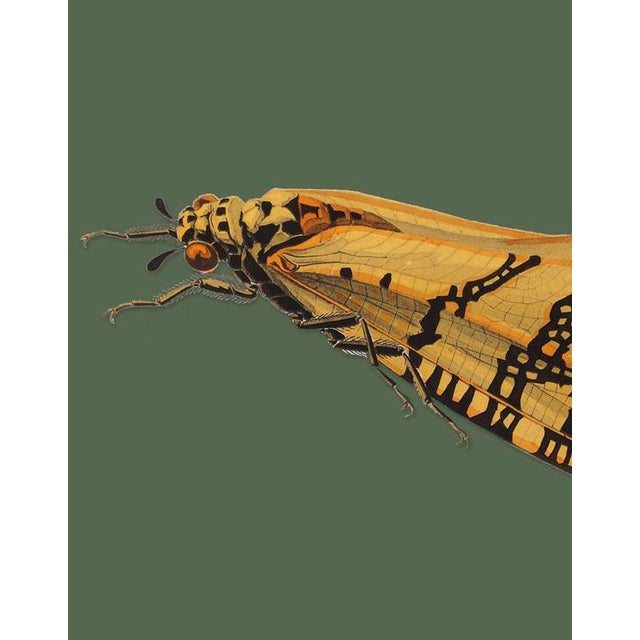 The series was produced by CFA editions from original pochior prints by E.A. Seguy. The series of insects that Seguy...