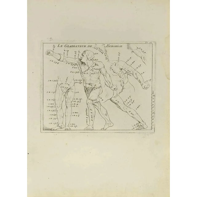 Anatomy Studies is an etching realized by Nicholas Cochin in 1755. Good conditions with foxing and folding. The artwork is...