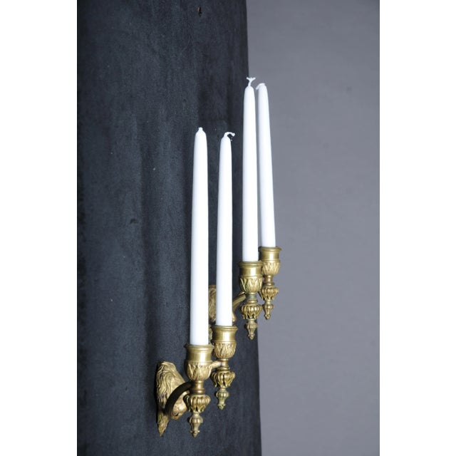 Gold 20th Century Lion Wall Sconces in Gilt Brass, Set of 2 For Sale - Image 8 of 11