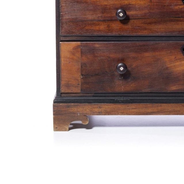 19th Century Queen Maria Chest of Drawers in Vinhatico Wood For Sale - Image 3 of 6