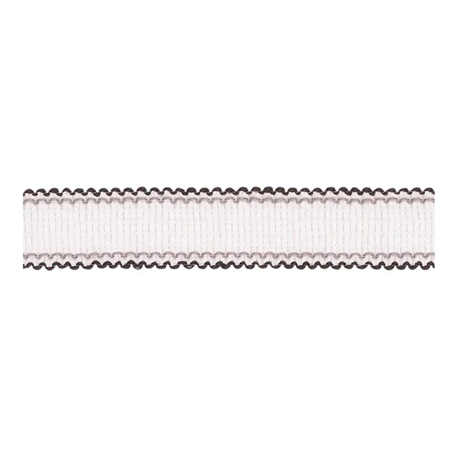 Schumacher Filippa Tape Indoor & Outdoor in Spectator For Sale