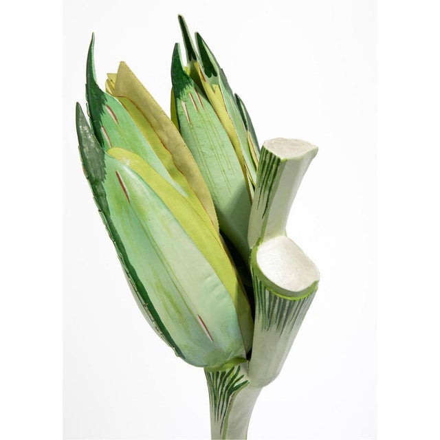 Vintage Flower Wheat School Model, 1950s For Sale - Image 4 of 5