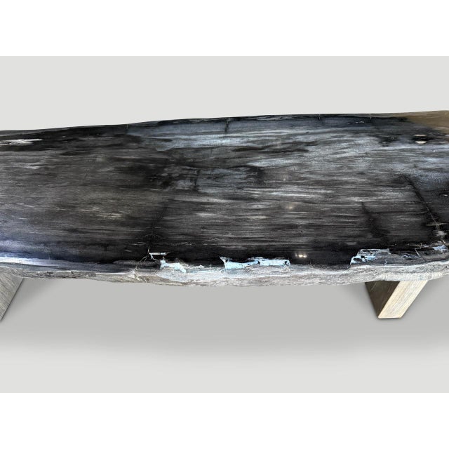 Andrianna Shamaris Exquisite High Quality Petrified Wood Dining Table Or Console For Sale - Image 18 of 18