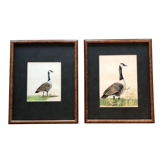 Vintage Original Watercolors Canadian Geese Originals a Pair For Sale