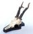 Vintage 1973 German Roe Deer Antler Mount With Matching Jawbone For Sale - Image 10 of 14