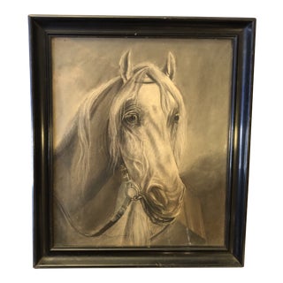 Late 19th Century Horse Portrait Charcoal Drawing, Framed For Sale