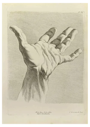 Nicholas Cochin, The Study of Hand after Bouchardon, Etching, 1755