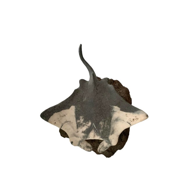 Late 20th Century Nautical Stone Stingray Sculpture on Lava Rock, Signed & Numbered, 12.5"w For Sale - Image 10 of 11