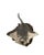 Late 20th Century Nautical Stone Stingray Sculpture on Lava Rock, Signed & Numbered, 12.5"w For Sale - Image 10 of 11