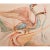 Salvador Dalí 1951 After After Dali, "Birds" First and Only Edition Period Lithograph From the Mrs. Albert D. Lasker Collection For Sale - Image 4 of 10
