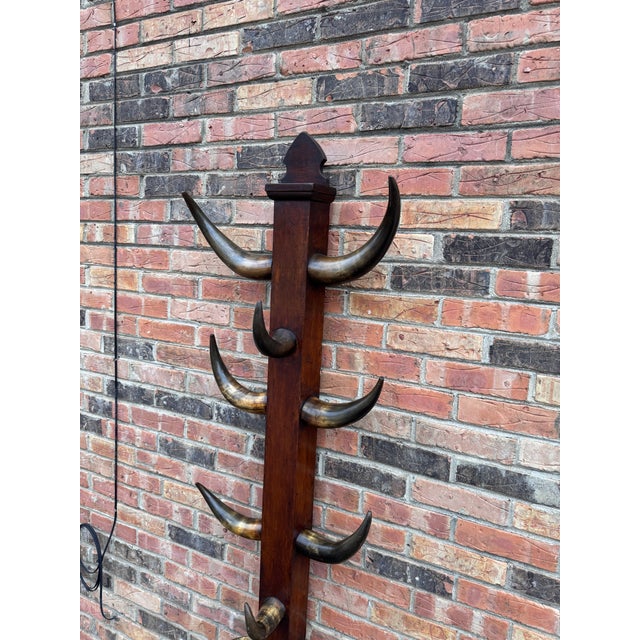 19th Century Bull Horn Hall Tree For Sale - Image 11 of 12