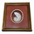 Vintage Framed Nautilus Seashell For Sale