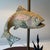 1970s Rainbow Trout Fish Table Lamp For Sale In Charleston - Image 6 of 12
