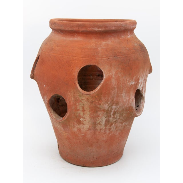 Vintage Terracotta Strawberry Pot Chairish