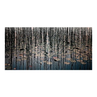 Lillies, British Photograph, Flowers, 2004 For Sale