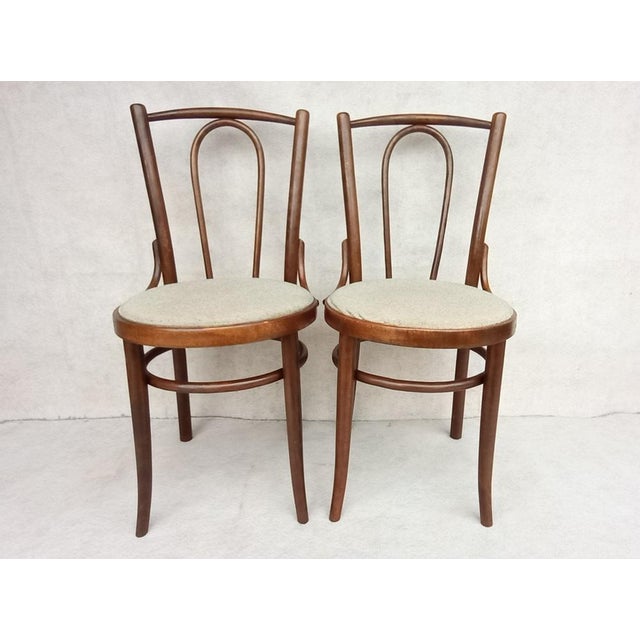 Set of Beech Bentwood Chairs from Tatra, 1960s For Sale - Image 16 of 17