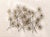 Mid-Century Modern Mid 20th Century Modern Atomic Starburst Metal Wall Sculpture For Sale - Image 3 of 9