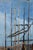Nicoli, Port Scene, Oil on Canvas, 20th Century, Framed For Sale - Image 11 of 16