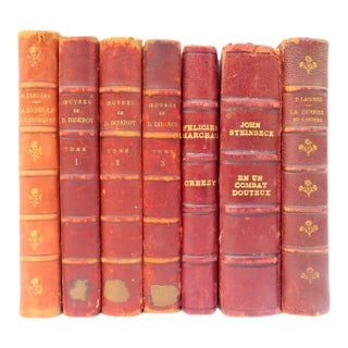 Antique French Leather Bindings / Books, S/7 For Sale