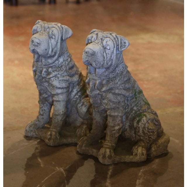 1990s Pair of Vintage French Weathered Stone Shar-Pei Garden Dog Sculptures For Sale - Image 5 of 7