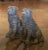 1990s Pair of Vintage French Weathered Stone Shar-Pei Garden Dog Sculptures For Sale - Image 5 of 7