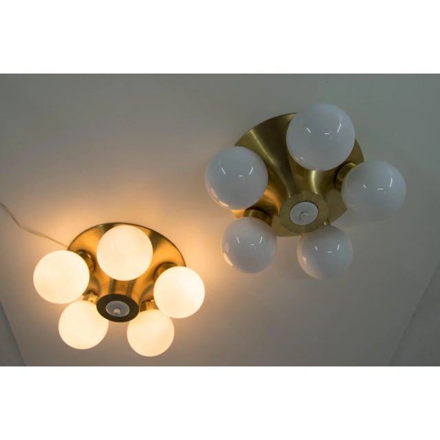 1970s Mid-Century Modern Wall Lights from Elektroinstala Decin, 1970s, Set of 2 For Sale - Image 5 of 8