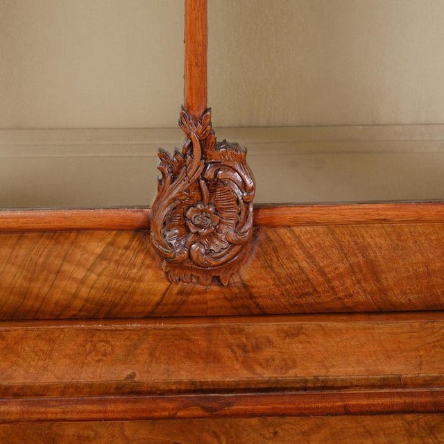 Brown Baroque Display Cabinet, Holland, 1760 For Sale - Image 8 of 13
