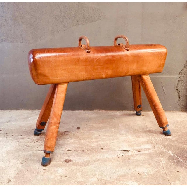 Antique European Pommel Horse Chairish