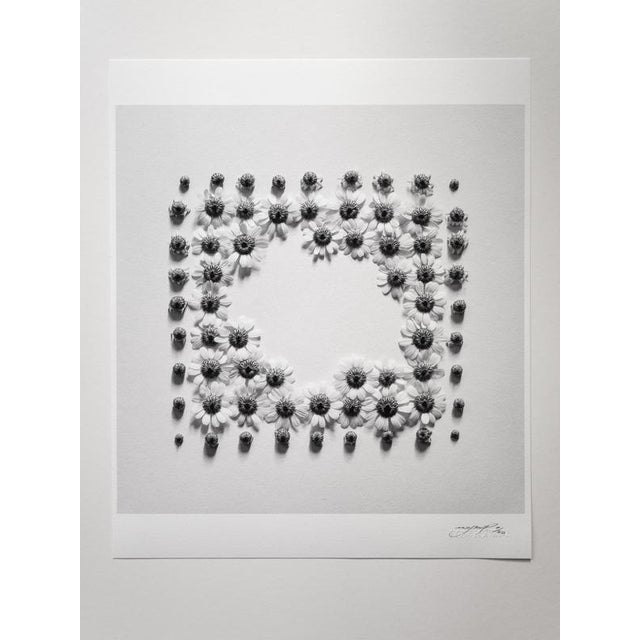 Ramunės' London, United Kingdom 2022 Limited edition of 20. Photograph printed on heavyweight fine art paper. Photograph...