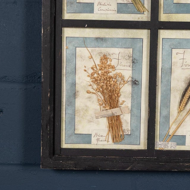 Large Italian Pressed Flowers and Herbs in Oak Frame, 1950s For Sale - Image 13 of 15