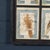 Large Italian Pressed Flowers and Herbs in Oak Frame, 1950s For Sale - Image 13 of 15