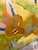Paint “Coyote Eye View” by LWren Walraven For Sale - Image 7 of 12