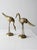 Brass Mid Century Brass Cranes Figurines Pair For Sale - Image 8 of 12