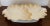 Old Paris Antique Porcelain Shell Serving Dish 19th C. Gold Gilt For Sale - Image 4 of 12
