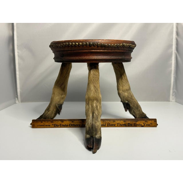 Antique Taxidermy Deer Hoof Mahogany Stool For Sale - Image 10 of 10