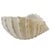 Italian Bassano White Ceramic Conch Shell Bowl – Decorative Planter or Serving Dish For Sale - Image 4 of 7