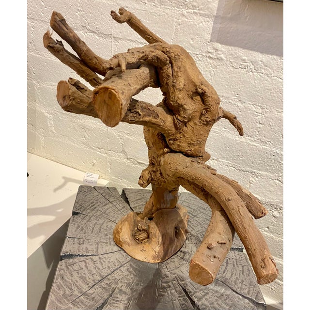 1970s Abstract Carved Driftwood Sculpture For Sale - Image 4 of 8