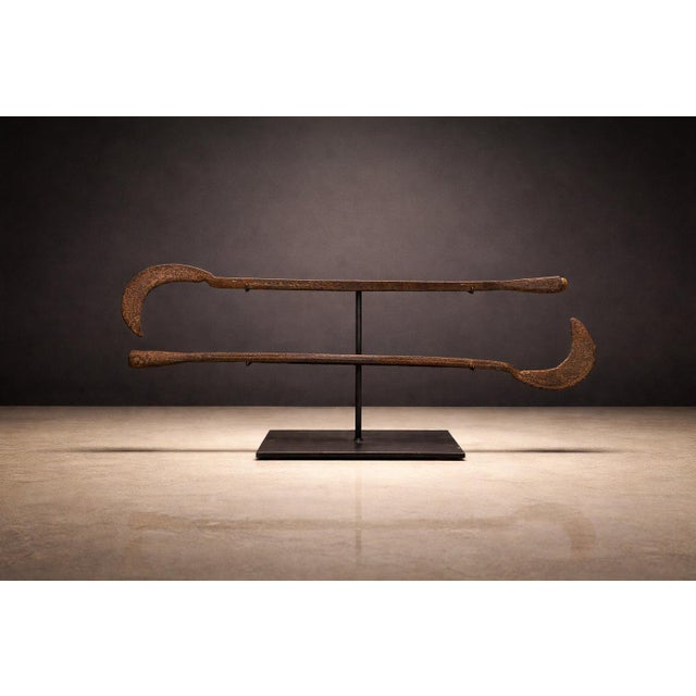 Magali & Fali Ceremonial Throwing Knives, Northern Cameroon & Northeastern Nigeria, 1920s For Sale - Image 4 of 11