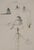 Salvador Dali, King Mark's Camp, Engraving For Sale - Image 5 of 8