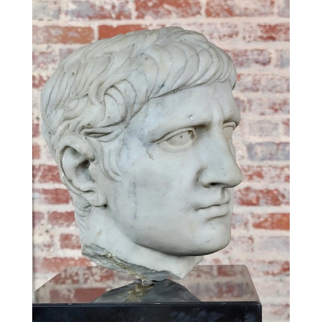 Ancient Marble Bust of Caligula -Roman Emperor For Sale In Los Angeles - Image 6 of 12