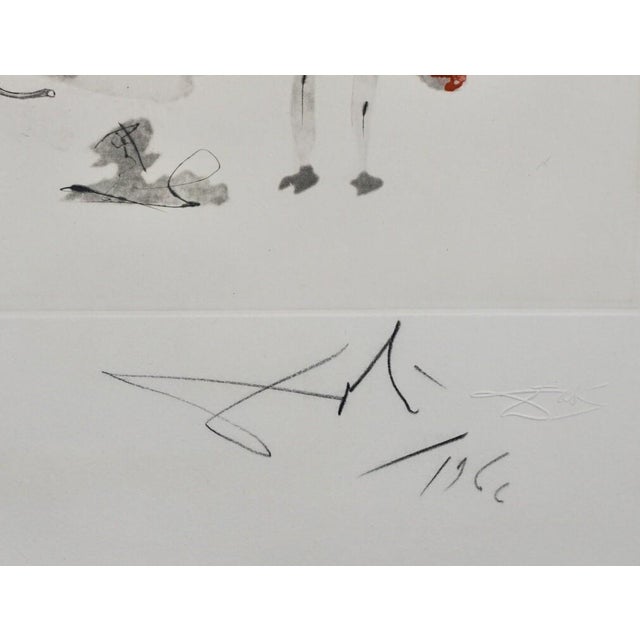 1970s 1970s Salvador Dali Tauramachi Surrealiste the Parrots For Sale - Image 5 of 6
